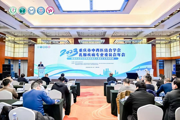 大會現場。主辦方供圖