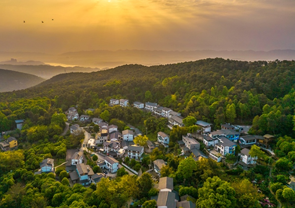 放牛村。南岸區融媒體中心供圖