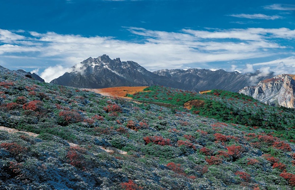 九鼎山風光。茂縣文化體育和旅游局供圖