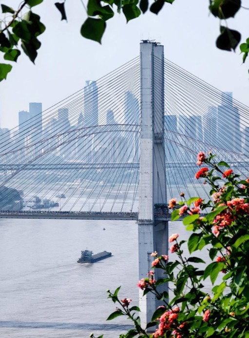 長江序觀江視野實景。中國綠發重慶公司供圖 華龍網發（拍攝時間2023年12月）
