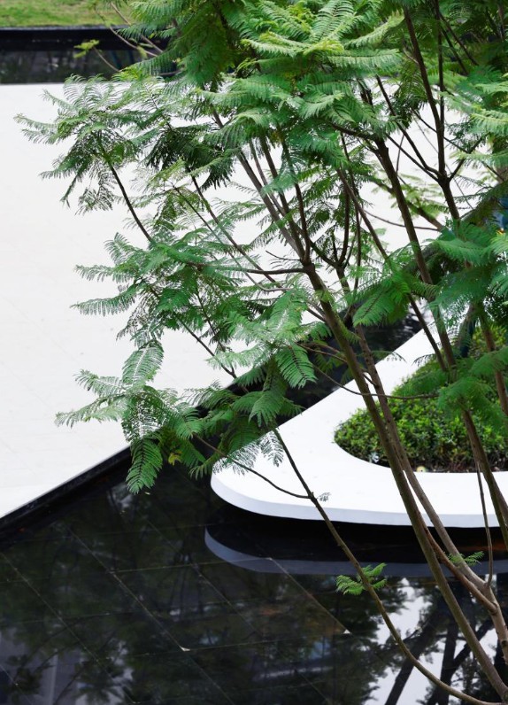 長江序景觀實景。中國綠發重慶公司供圖 華龍網發（拍攝時間2023年12月）