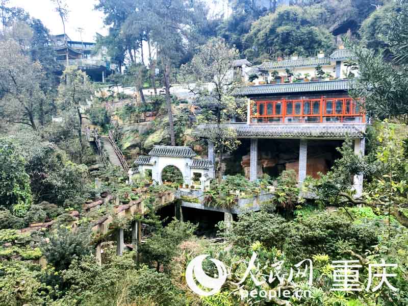 南岸區雙龍村內盆景園數量眾多，各具特色。人民網 陳琦攝