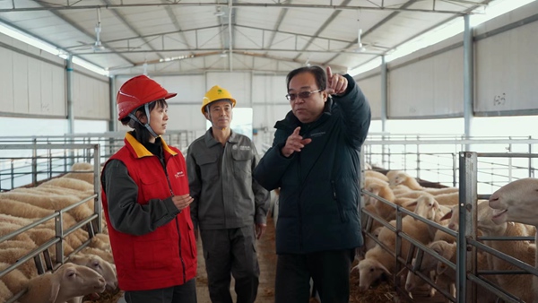 張麗進村舍、進農企開展供電服務工作。國網重慶永川供電公司供圖