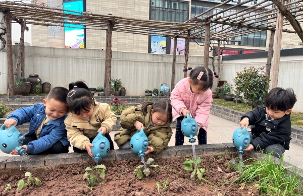 孩子們為小樹苗澆水。渝北區冉家壩幼兒園供圖