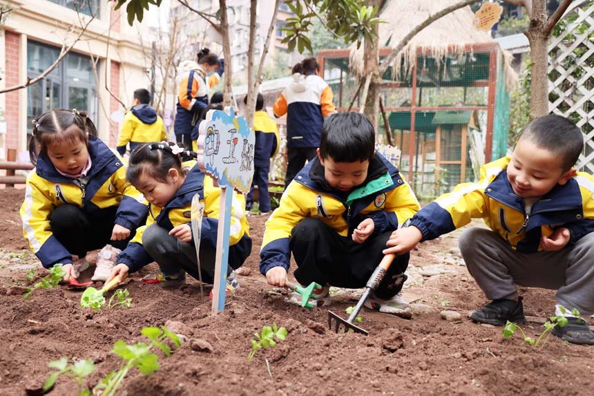 親手種下菜苗。朝陽幼教集團供圖