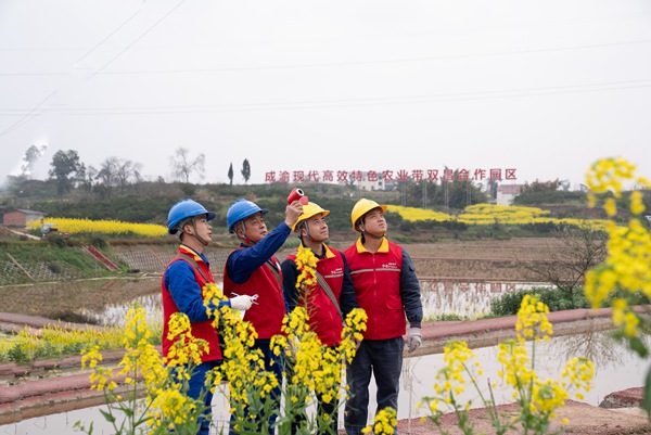 志愿者在“雙昌”園區開展線路測溫工作。國網重慶永川供電公司供圖