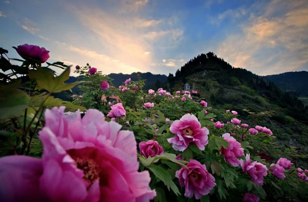 墊江愷之峰旅游區。墊江區文旅委供圖