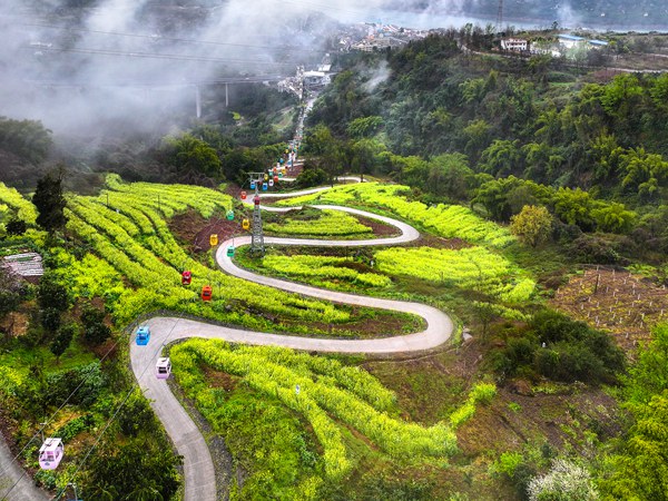 紅酒小鎮推出坐索道去春游。景區供圖