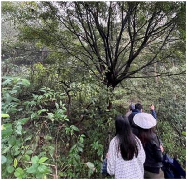 花椒溪踏勘。重慶市市政院公司供圖