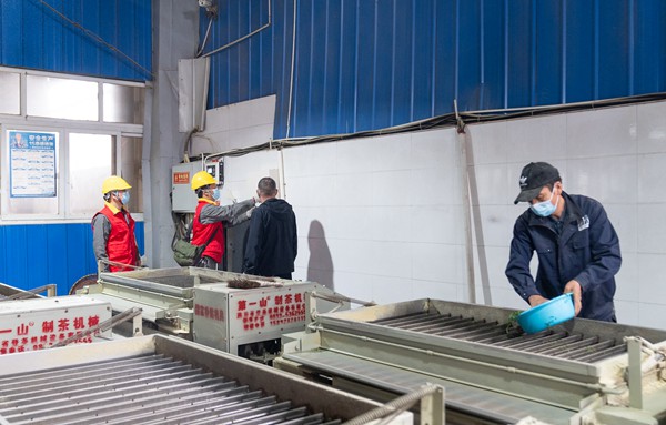 國網永川供電公司大安供電所員工義務檢查制茶車間用電設備。賴小龍攝