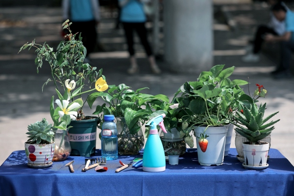 綠植展示。渝北區空港新城小學校供圖