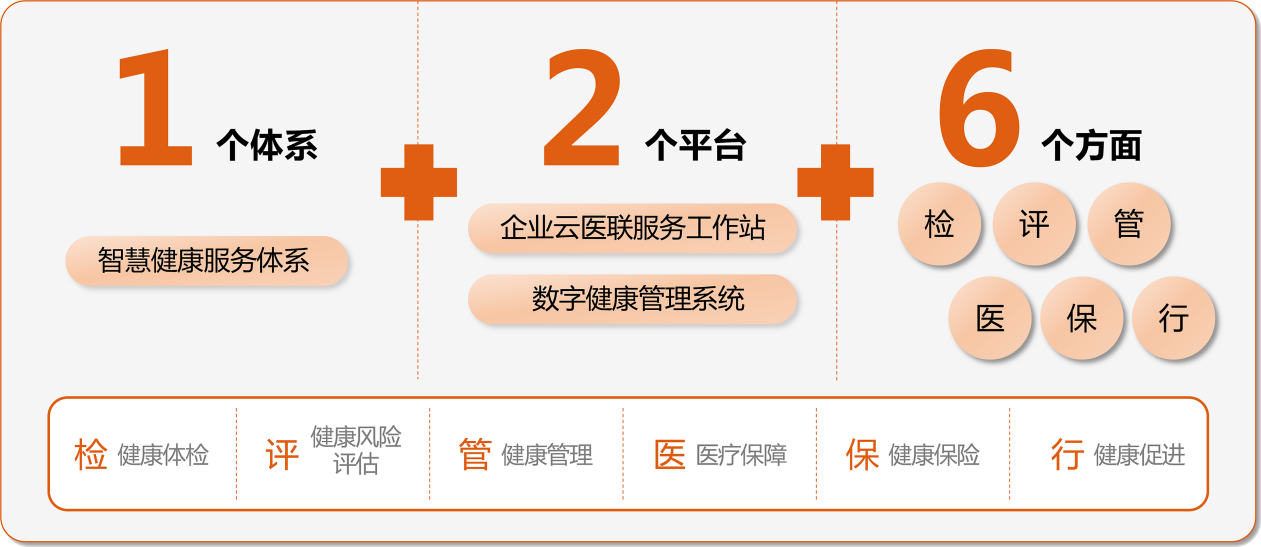 “1+2+6”資料圖。愛康集團重慶分公司供圖