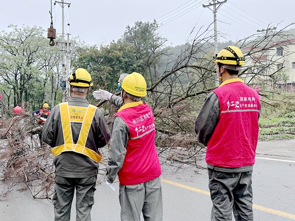 工作人員利用吊車處理枯木。國網重慶永川供電公司供圖