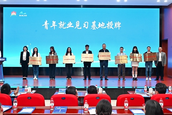 活動現場。主辦方供圖