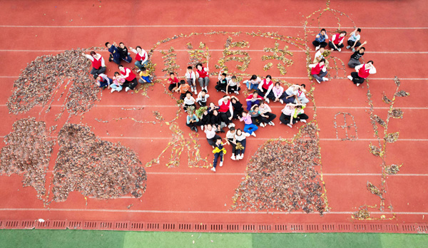 落葉景觀。西南大學供圖