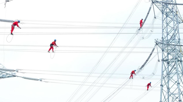 500千伏明月山-金山線路作業人員正進行投運前消缺走線作業。陳明月攝