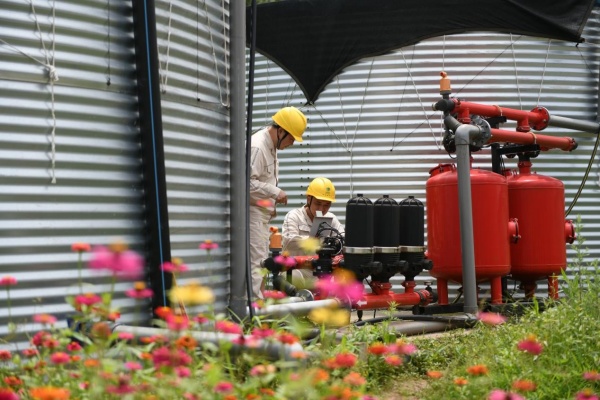 國網重慶合川供電公司員工在彎橋村“魚菜共生”AI工廠檢查水循環設備運行情況。國網重慶市電力公司供圖
