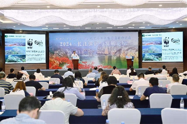 活動現場。主辦方供圖