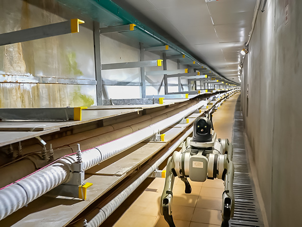利用智能巡檢機器狗對電纜通道遙控巡檢。國網重慶超高壓公司供圖