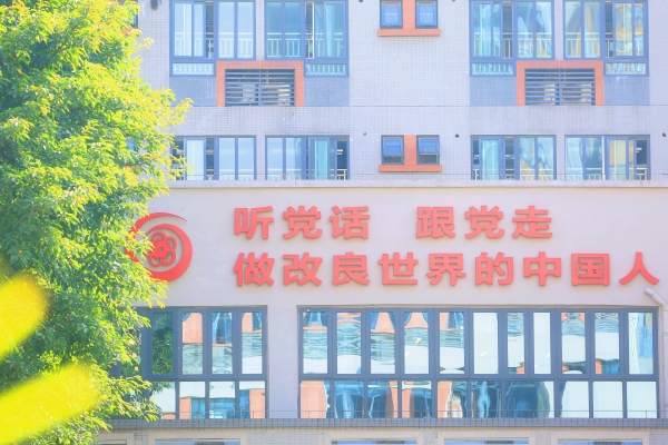 校園風貌。重慶市九龍坡區謝家灣學校供圖