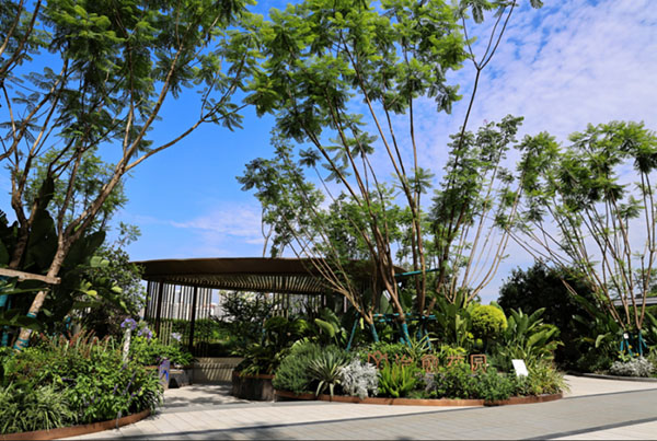 中綠江州實拍圖，拍攝于2024年5月。中國綠發重慶公司供圖