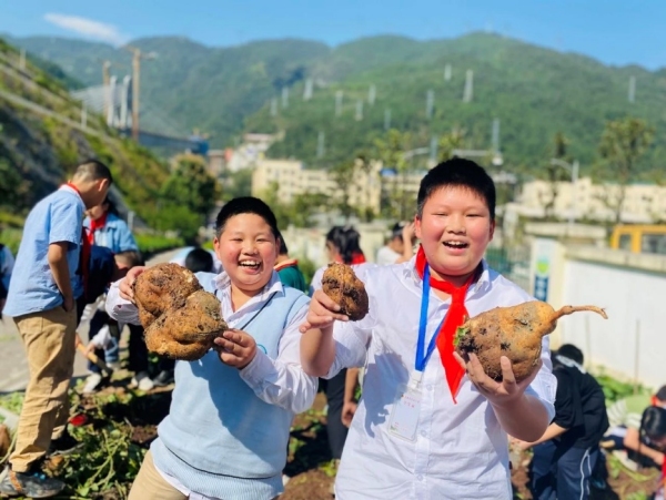 紅薯的前世今生。武隆區鳳溪小學供圖