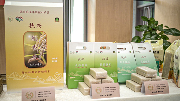 推介會現場圖。夫余熊貓糧品供圖