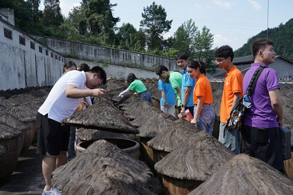參觀醬油曬場。重慶理工大學供圖
