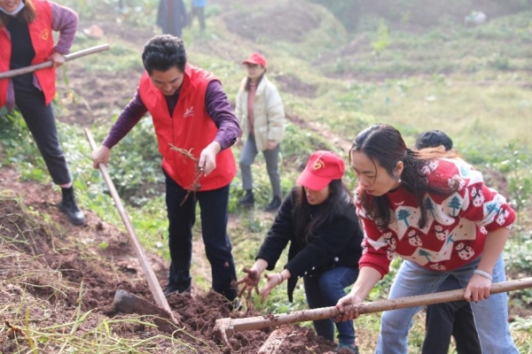 黨總支組織開展扶農助農活動。合川區高陽小學