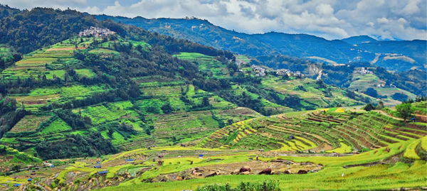 臘姑梯田。重慶大學供圖
