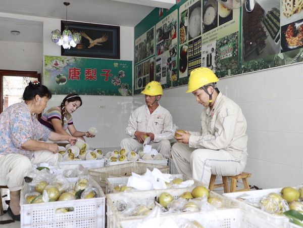 電力員工幫助包裝梨子。國網重慶永川供電公司供圖