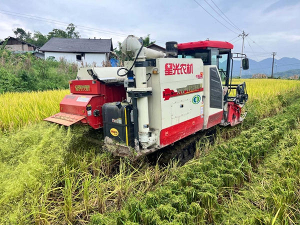 秋收現場。重慶市供銷合作總社供圖