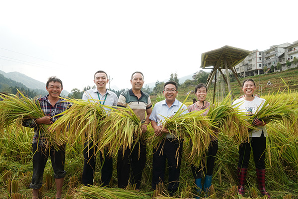 楊聰幫助農戶收稻谷。郵儲銀行重慶分行供圖