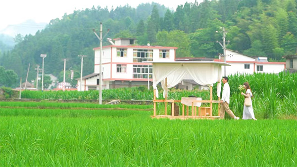 區陽田園風光。郵儲銀行重慶分行供圖