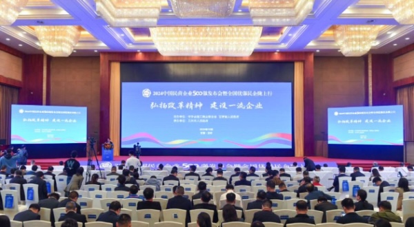 2024中國民營企業500強發布。新鷗鵬集團供圖