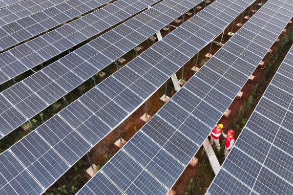 少云村的光伏場。國網重慶電力供圖