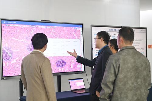 10月22日，西部（重慶）科學城，金鳳實驗室2024年度科技成果發布會現場，嘉賓正在關注科技成果展。首席記者 龍帆 攝