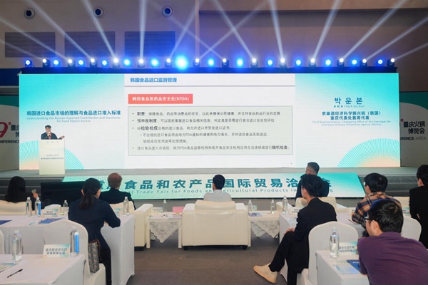 活動現場。主辦方供圖