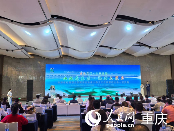 推介會現場。人民網記者 馮文彥攝