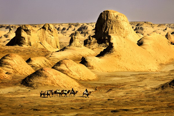 大柴旦風光。主辦方供圖