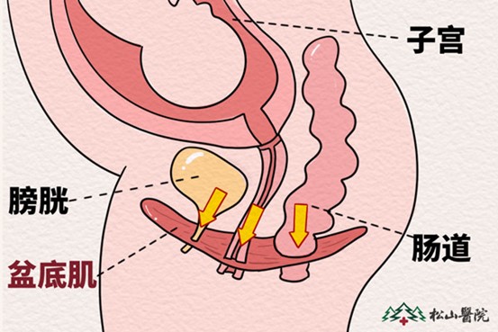 示意圖。重慶松山醫院供圖