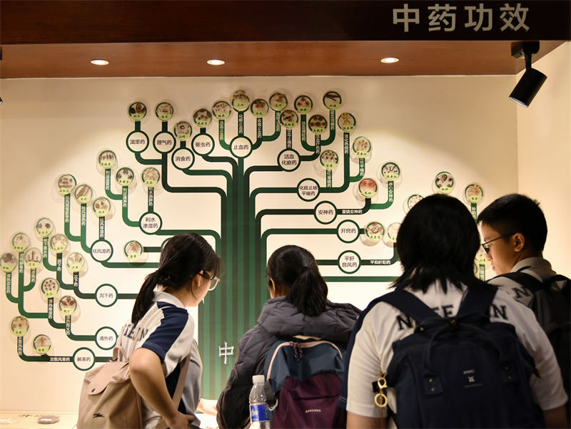 10月28日，30名來自新加坡的師生走進重慶市中藥博物館參觀見學，圖為師生們正在參觀各類中藥材標本。唐志勇攝