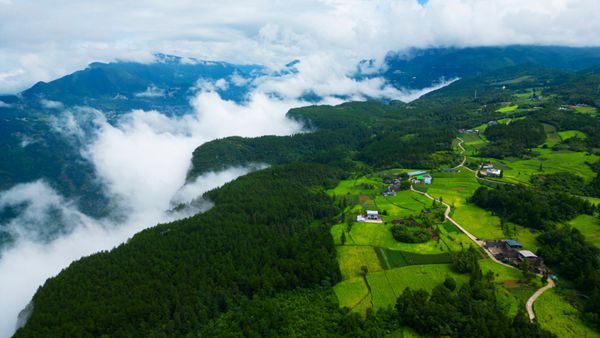 荊竹村風光。武隆區委宣傳部供圖