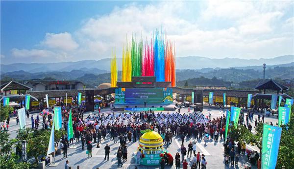 第七屆長江三峽（梁平）國際柚博會在合興街道龍灘村柚海廣場開幕。向成國攝