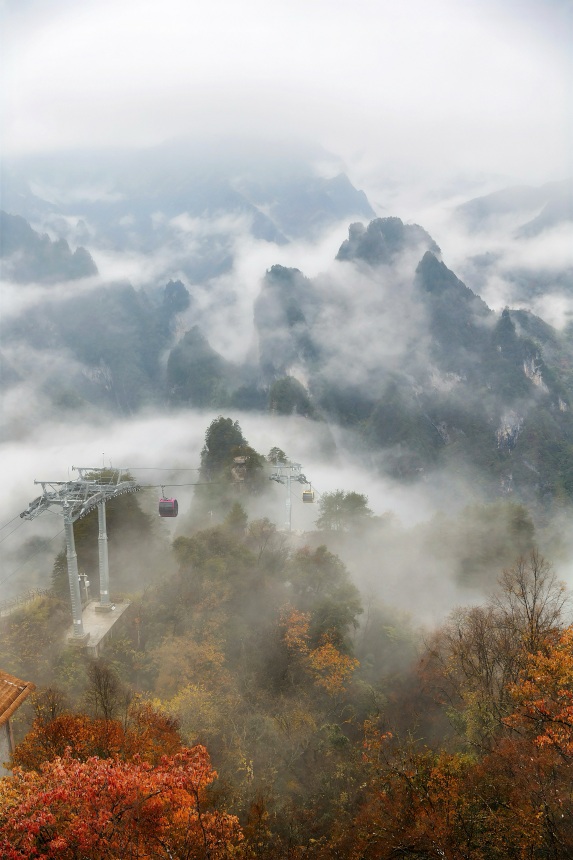 云霧與彩葉同框。任峰攝