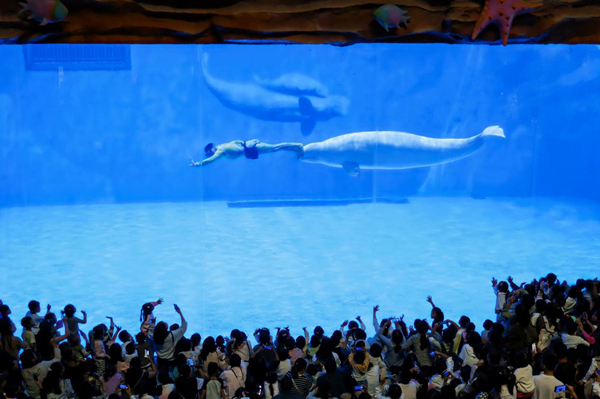 重慶融創海世界。重慶融創文旅城供圖