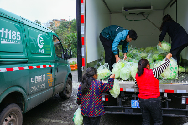 在萬隆村的電子商務服務站點，村民將白菜搬運上郵車。陳星宇 攝