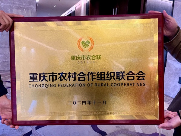 重慶市農村合作組織聯合會成立。記者 栗園園 攝