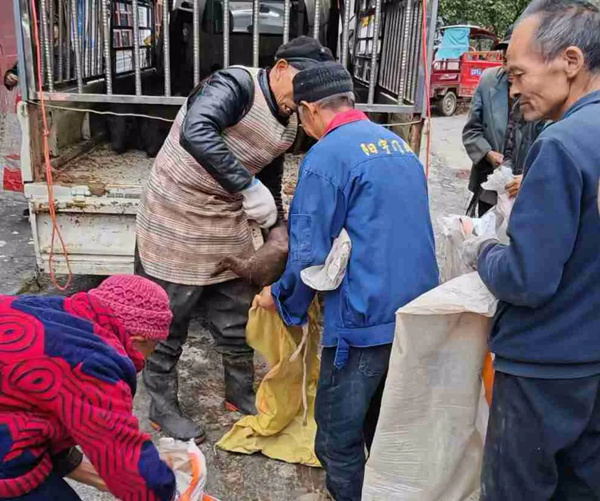 村民領取黑豬仔。中信銀行重慶分行供圖