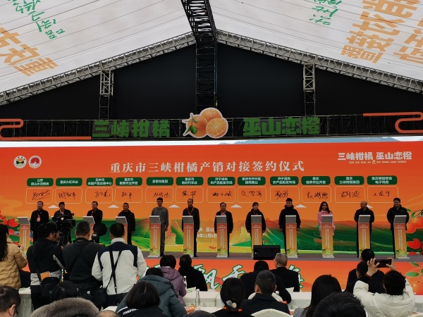 簽約儀式現場。巫山縣委宣傳部供圖